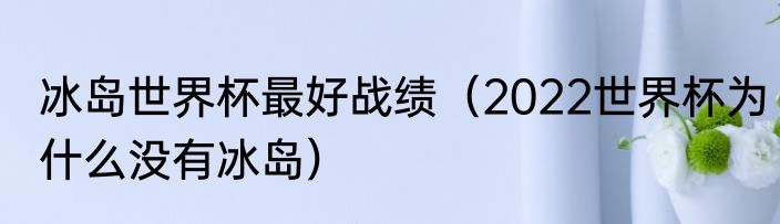 冰岛世界杯最好战绩（2022世界杯为什么没有冰岛）
