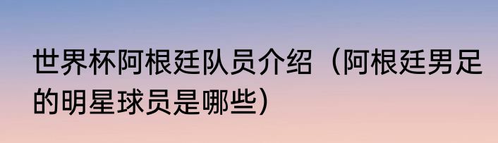 世界杯阿根廷队员介绍（阿根廷男足的明星球员是哪些）