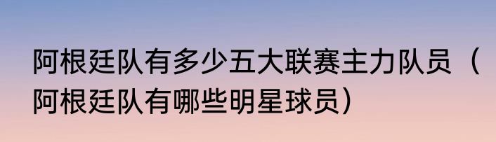 阿根廷队有多少五大联赛主力队员（阿根廷队有哪些明星球员）