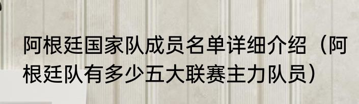 阿根廷国家队成员名单详细介绍（阿根廷队有多少五大联赛主力队员）