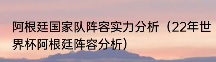 阿根廷国家队阵容实力分析（22年世界杯阿根廷阵容分析）