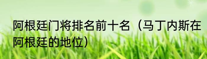 阿根廷门将排名前十名（马丁内斯在阿根廷的地位）