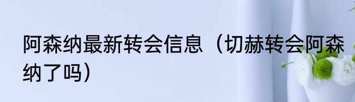 阿森纳最新转会信息（切赫转会阿森纳了吗）
