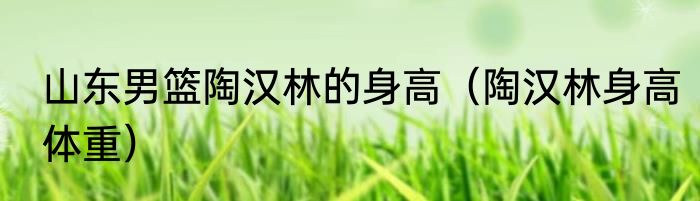 山东男篮陶汉林的身高（陶汉林身高体重）