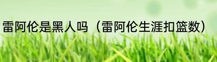 雷阿伦是黑人吗（雷阿伦生涯扣篮数）