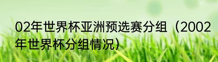 02年世界杯亚洲预选赛分组（2002年世界杯分组情况）