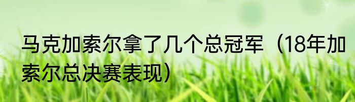 马克加索尔拿了几个总冠军（18年加索尔总决赛表现）