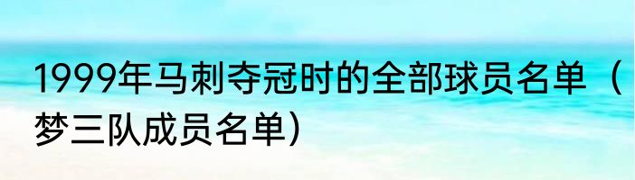 1999年马刺夺冠时的全部球员名单（梦三队成员名单）