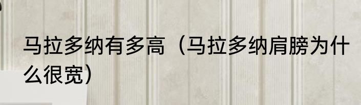 马拉多纳有多高（马拉多纳肩膀为什么很宽）