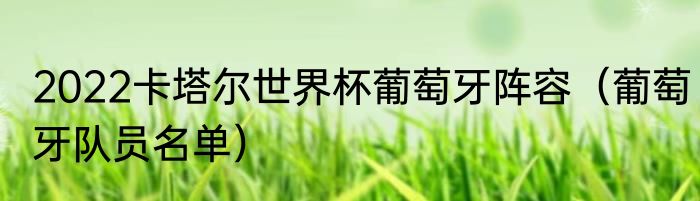 2022卡塔尔世界杯葡萄牙阵容（葡萄牙队员名单）