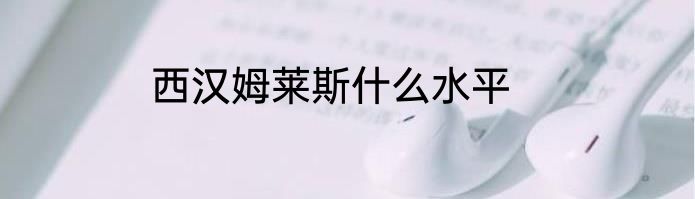 西汉姆莱斯什么水平