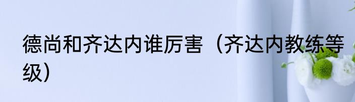 德尚和齐达内谁厉害（齐达内教练等级）