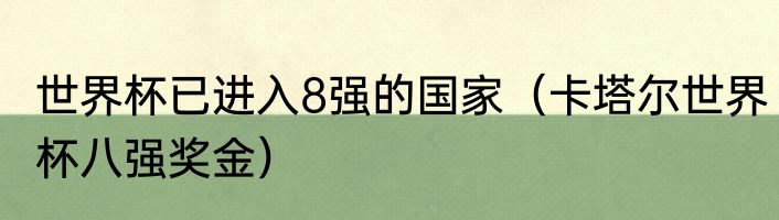 世界杯已进入8强的国家（卡塔尔世界杯八强奖金）