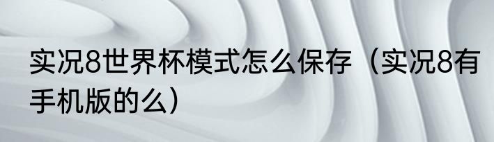实况8世界杯模式怎么保存（实况8有手机版的么）