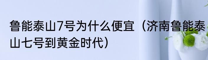鲁能泰山7号为什么便宜（济南鲁能泰山七号到黄金时代）