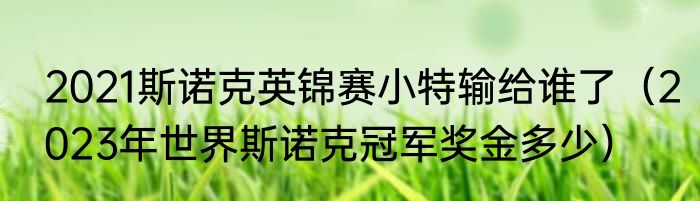 2021斯诺克英锦赛小特输给谁了（2023年世界斯诺克冠军奖金多少）