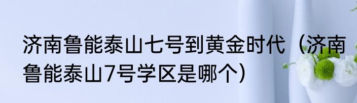济南鲁能泰山七号到黄金时代（济南鲁能泰山7号学区是哪个）