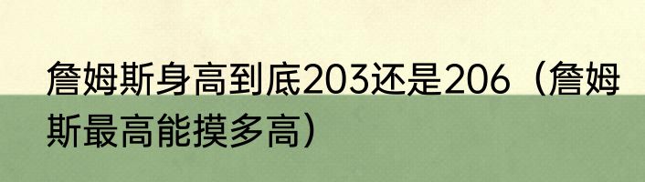 詹姆斯身高到底203还是206（詹姆斯最高能摸多高）