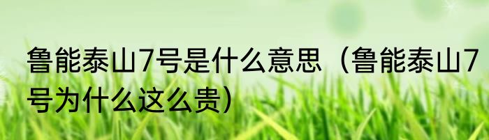 鲁能泰山7号是什么意思（鲁能泰山7号为什么这么贵）