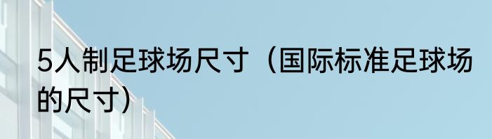 5人制足球场尺寸（国际标准足球场的尺寸）