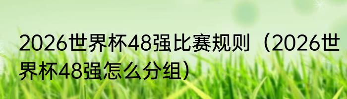 2026世界杯48强比赛规则（2026世界杯48强怎么分组）