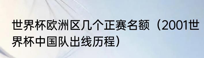 世界杯欧洲区几个正赛名额（2001世界杯中国队出线历程）