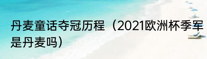 丹麦童话夺冠历程（2021欧洲杯季军是丹麦吗）