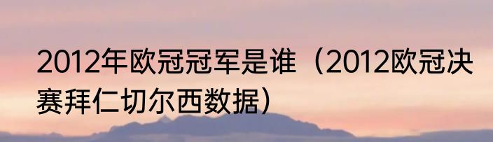 2012年欧冠冠军是谁（2012欧冠决赛拜仁切尔西数据）