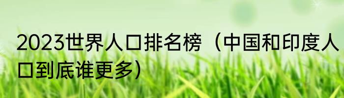 2023世界人口排名榜（中国和印度人口到底谁更多）