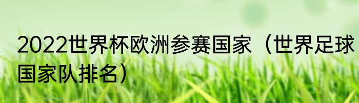 2022世界杯欧洲参赛国家（世界足球国家队排名）