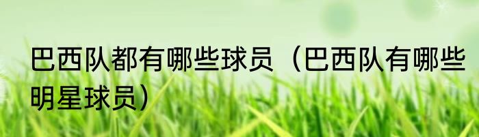 巴西队都有哪些球员（巴西队有哪些明星球员）