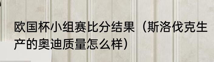 欧国杯小组赛比分结果（斯洛伐克生产的奥迪质量怎么样）