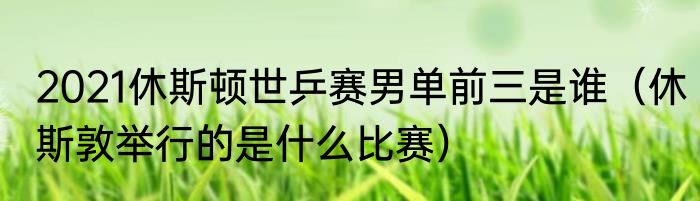 2021休斯顿世乒赛男单前三是谁（休斯敦举行的是什么比赛）