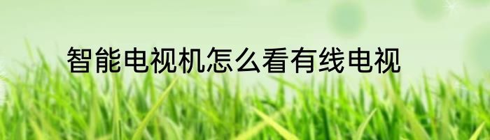 智能电视机怎么看有线电视