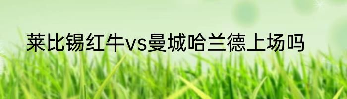 莱比锡红牛vs曼城哈兰德上场吗