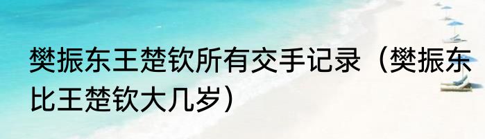 樊振东王楚钦所有交手记录（樊振东比王楚钦大几岁）