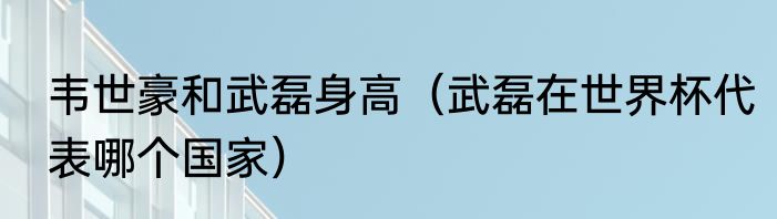 韦世豪和武磊身高（武磊在世界杯代表哪个国家）