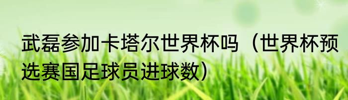 武磊参加卡塔尔世界杯吗（世界杯预选赛国足球员进球数）