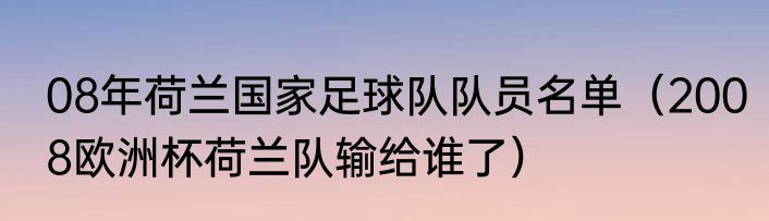 08年荷兰国家足球队队员名单（2008欧洲杯荷兰队输给谁了）