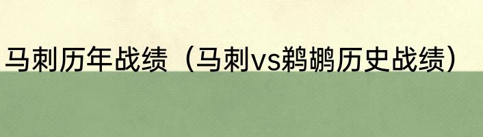 马刺历年战绩（马刺vs鹈鹕历史战绩）
