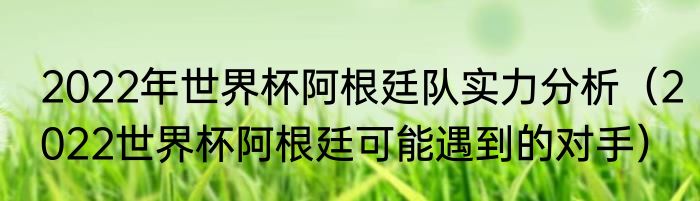 2022年世界杯阿根廷队实力分析（2022世界杯阿根廷可能遇到的对手）