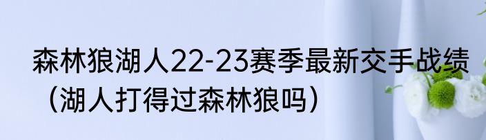 森林狼湖人22-23赛季最新交手战绩（湖人打得过森林狼吗）