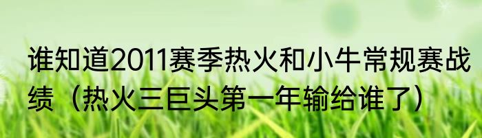 谁知道2011赛季热火和小牛常规赛战绩(热火三巨头第一年输给谁了)