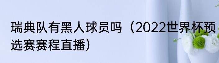 瑞典队有黑人球员吗（2022世界杯预选赛赛程直播）