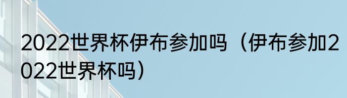 2022世界杯伊布参加吗（伊布参加2022世界杯吗）