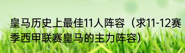 皇马历史上最佳11人阵容（求11-12赛季西甲联赛皇马的主力阵容）