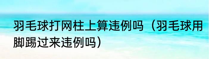 羽毛球打网柱上算违例吗（羽毛球用脚踢过来违例吗）