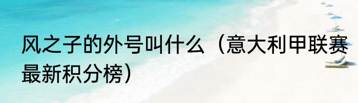 风之子的外号叫什么（意大利甲联赛最新积分榜）