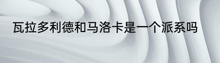 瓦拉多利德和马洛卡是一个派系吗