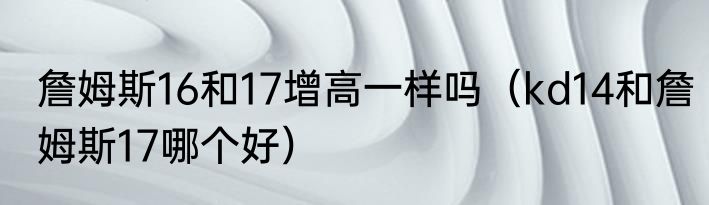 詹姆斯16和17增高一样吗（kd14和詹姆斯17哪个好）